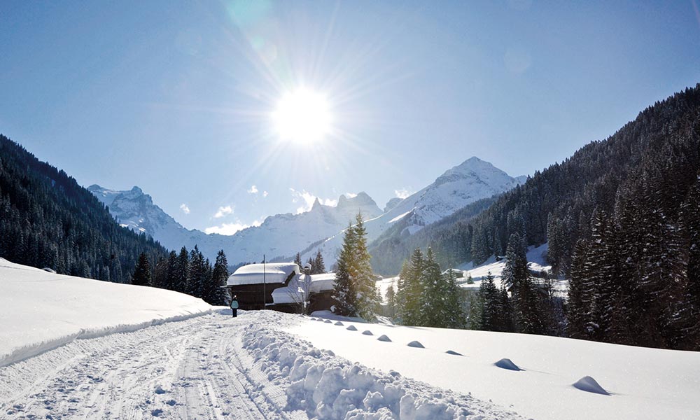 Snowshoeing
